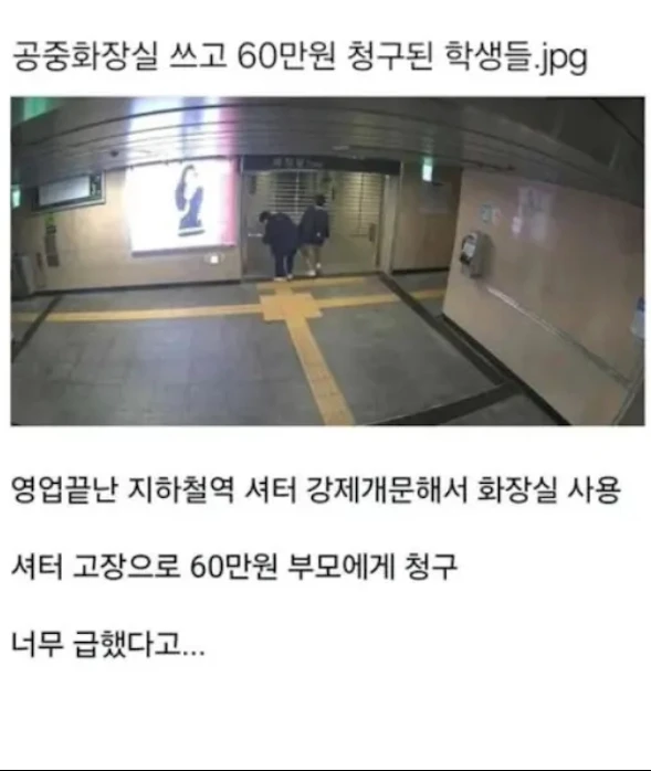 60만원짜리-급똥..-1-이미지