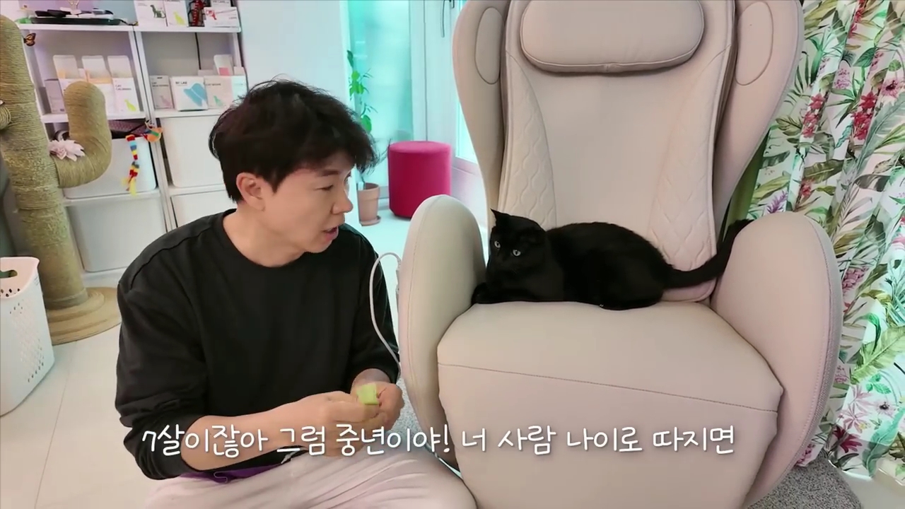 현재-반응-최악인-박수홍-유튜브-반려묘-근황-영상.jpg-33-이미지
