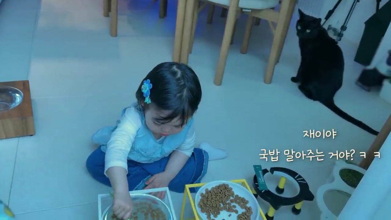 현재-반응-최악인-박수홍-유튜브-반려묘-근황-영상.jpg-28-이미지