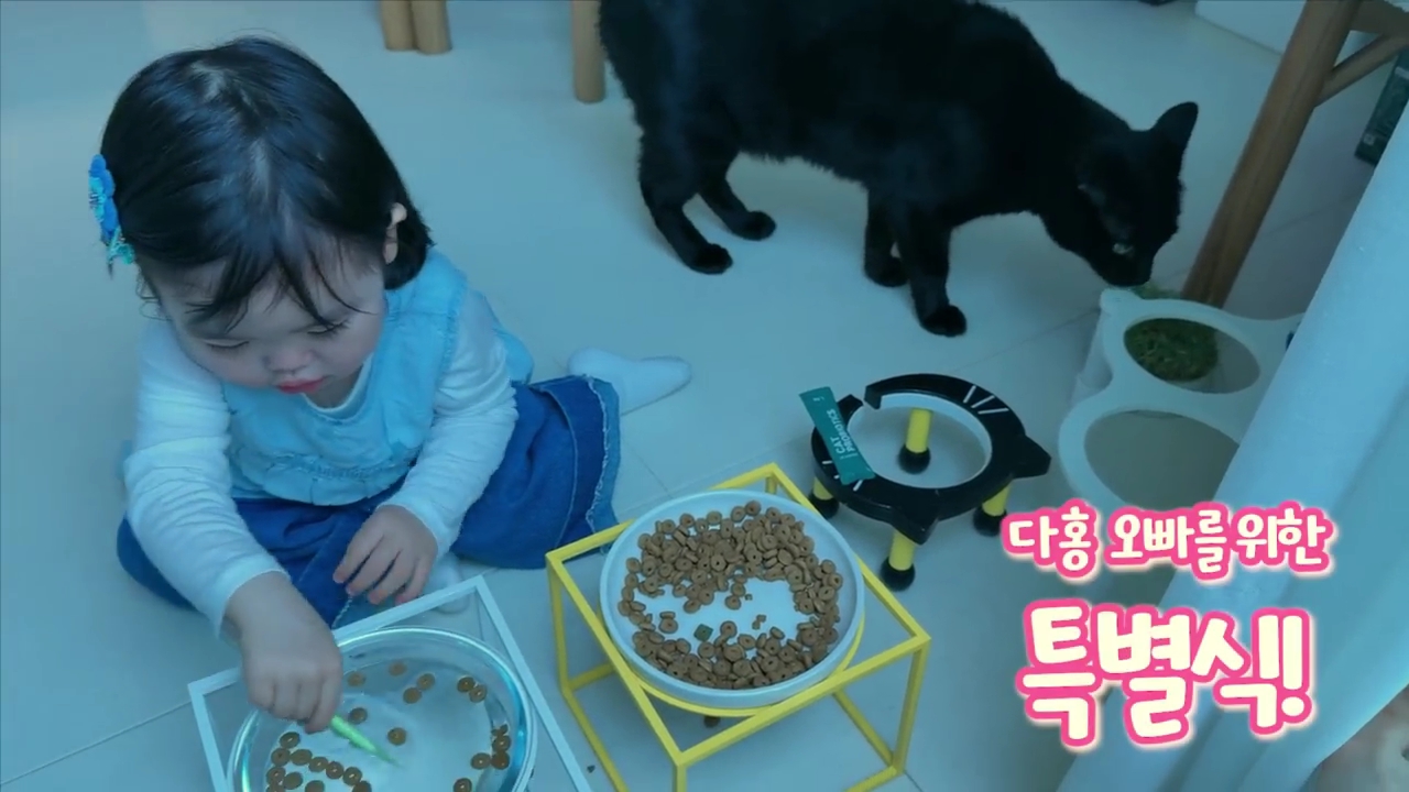 현재-반응-최악인-박수홍-유튜브-반려묘-근황-영상.jpg-25-이미지