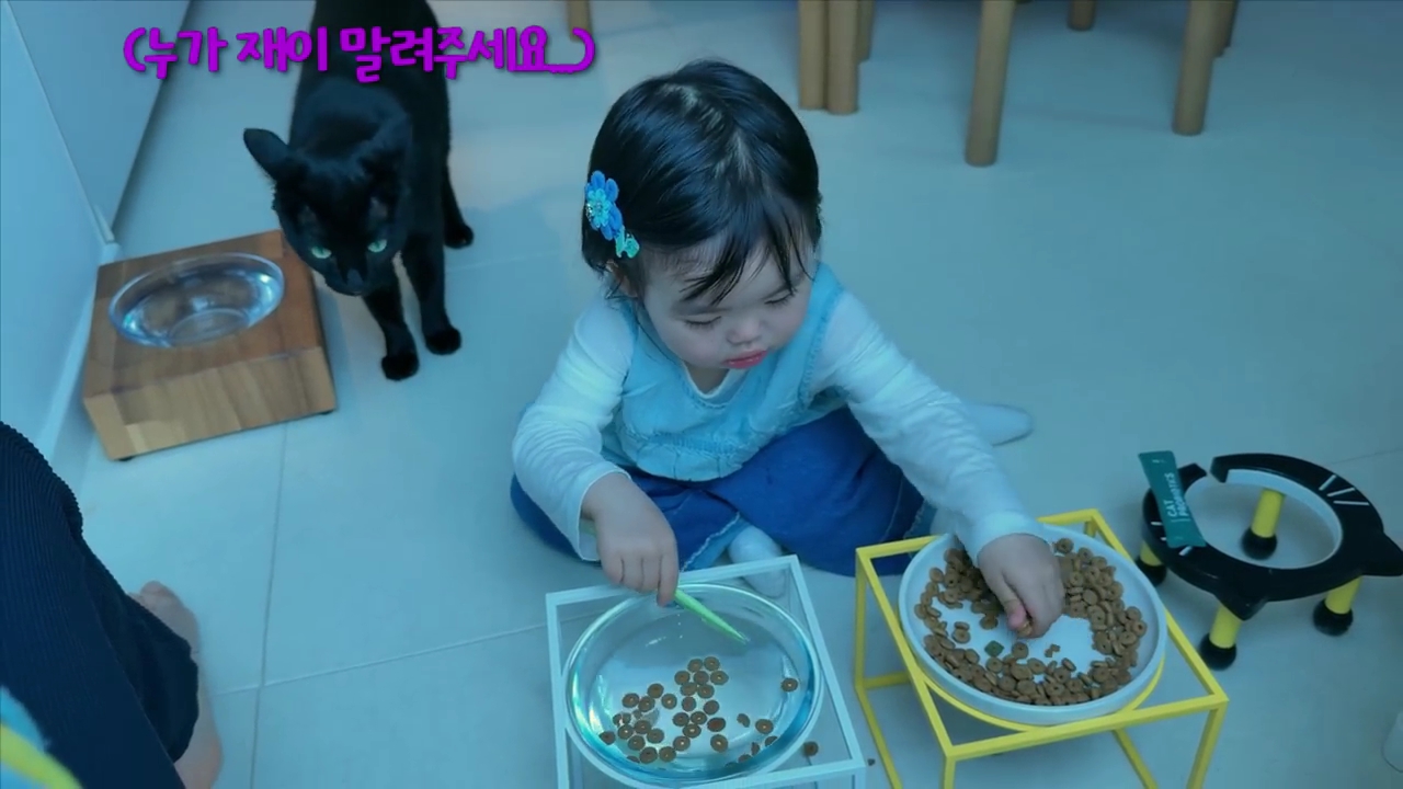 현재-반응-최악인-박수홍-유튜브-반려묘-근황-영상.jpg-24-이미지