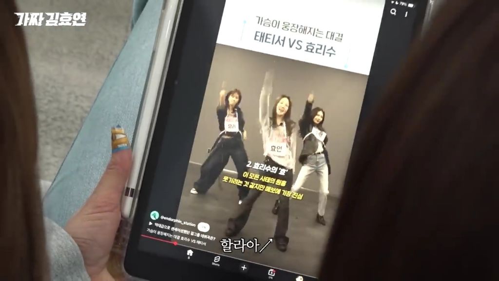 순수-체급으로-웃기는-효리수.jpgif-21-이미지