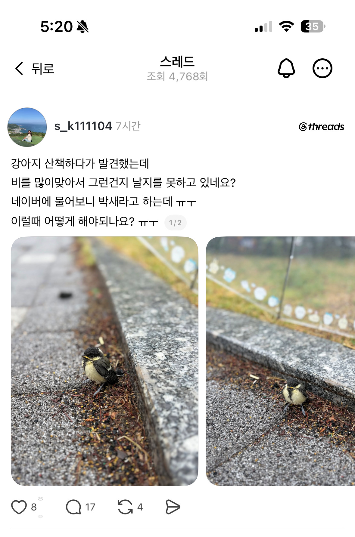 강아지-산책하다가-발견했는데-이럴때-어떻게-해야되나요?-ㅠㅜ-0-이미지