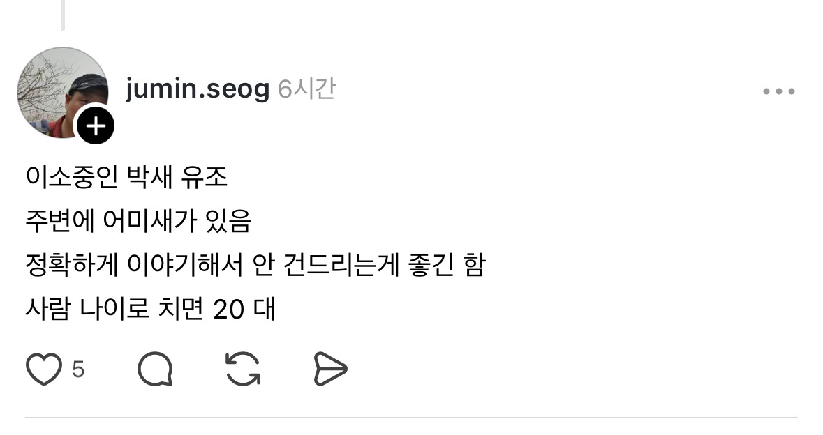 강아지-산책하다가-발견했는데-이럴때-어떻게-해야되나요?-ㅠㅜ-3-이미지