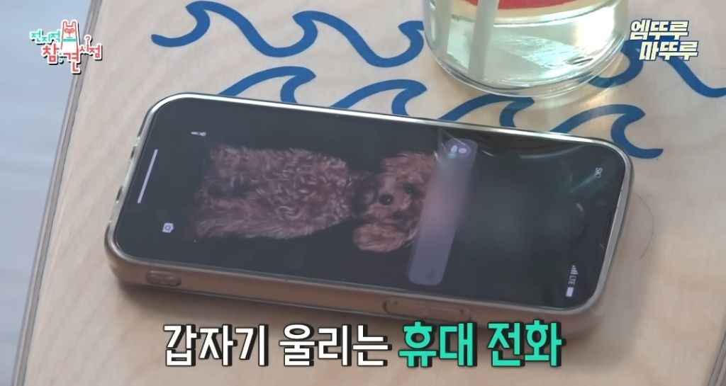 찐-ISFP라는-엄현경의-귀찮음-6-이미지