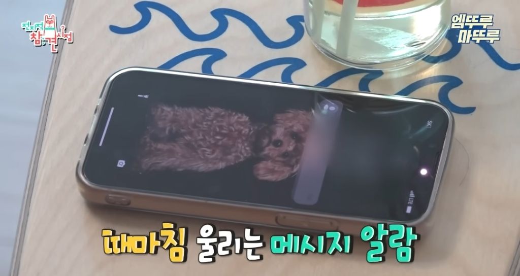 찐-ISFP라는-엄현경의-귀찮음-14-이미지
