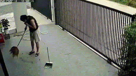 방금까지-있던-빗자루.gif-0-이미지