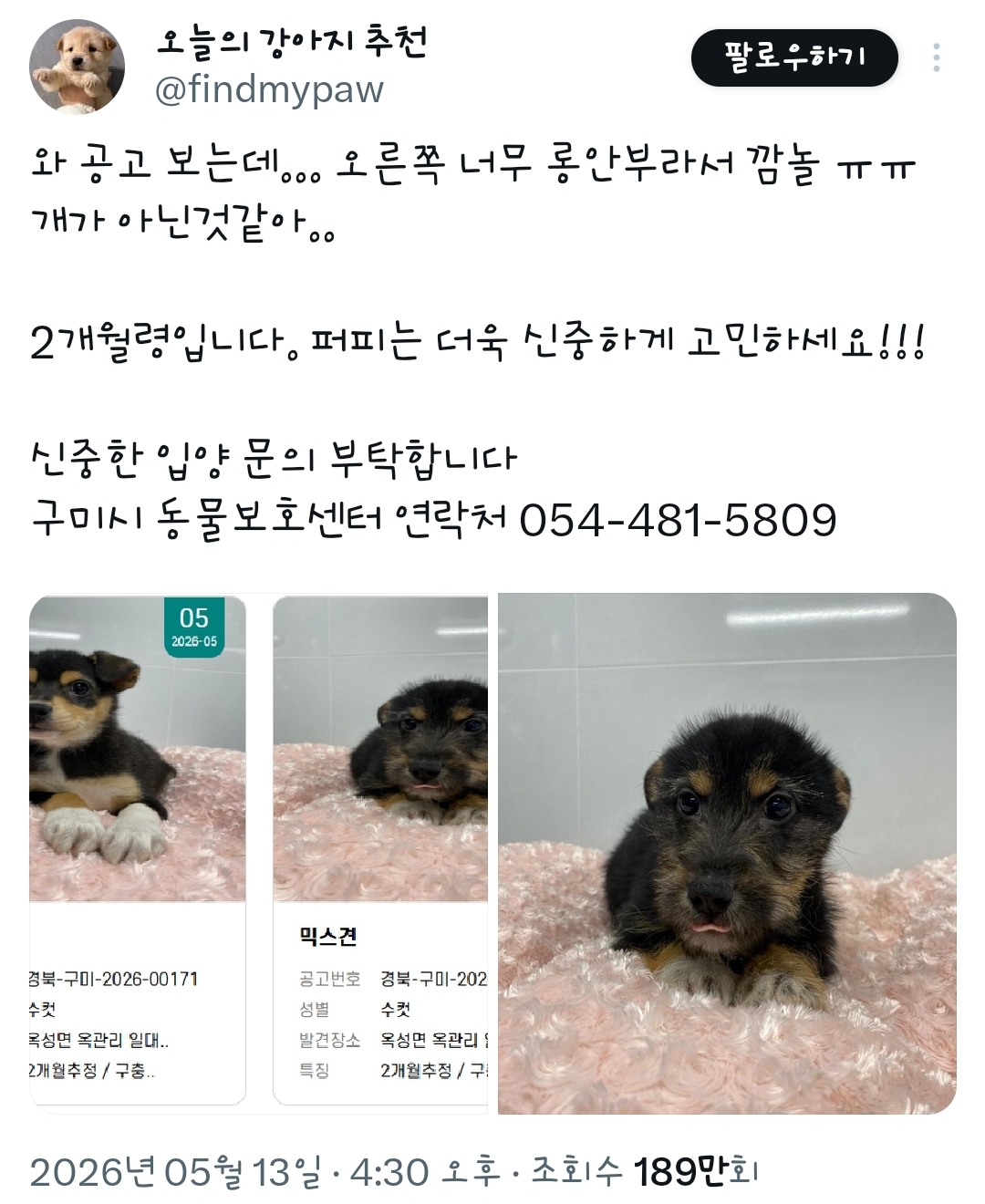 오른쪽-너무-롱안부라서-깜놀-ㅠㅠ개가-아닌것같아..-0-이미지
