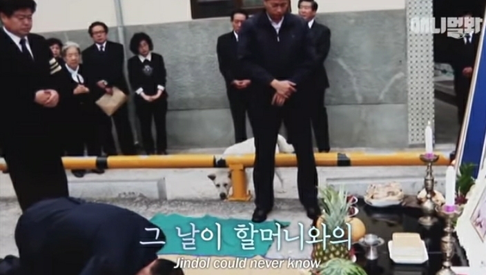 할머니-장례식장에서-눈물-흘리던-백구가-2년동안-한-일-16-이미지