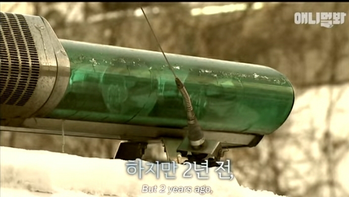 할머니-장례식장에서-눈물-흘리던-백구가-2년동안-한-일-11-이미지