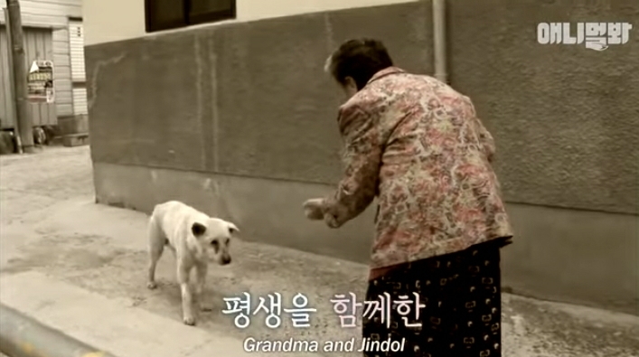 할머니-장례식장에서-눈물-흘리던-백구가-2년동안-한-일-7-이미지