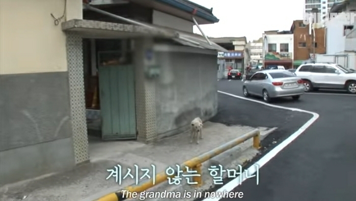 할머니-장례식장에서-눈물-흘리던-백구가-2년동안-한-일-36-이미지