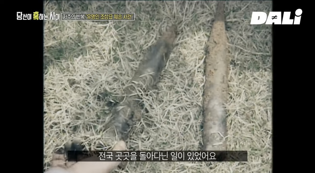 율곡이이,-이순신,-세종대왕-집안-묘소에-130kg-넘는-쇠말뚝과-식칼이-박혀-충격-1-이미지