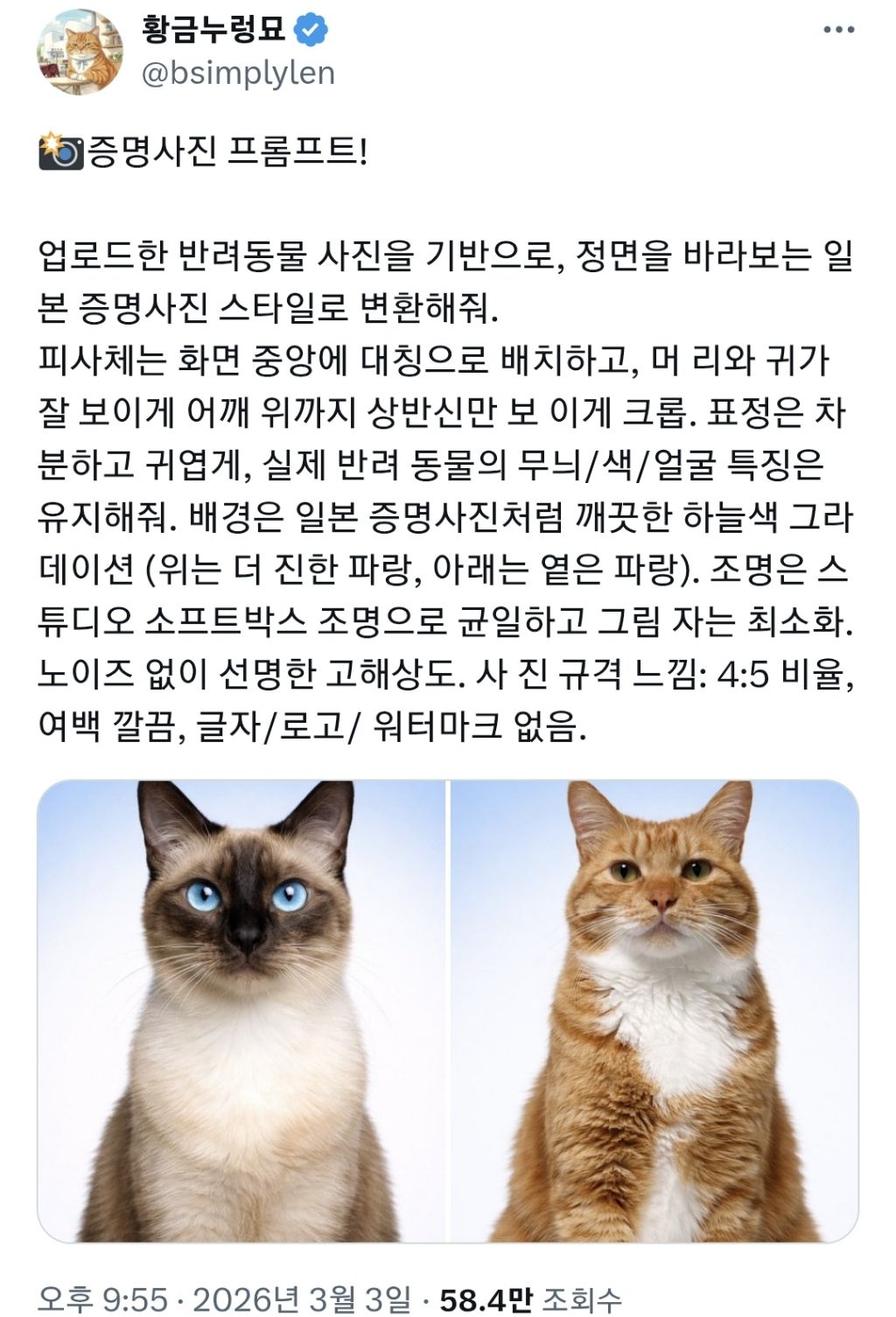 반려동물-증명사진-프롬프트-0-이미지