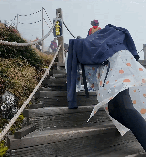 한국인의-상습적-거짓말에-당한-외국인.gif-2-이미지
