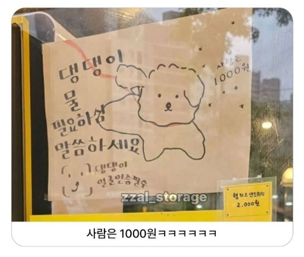 강아지만-물주는-동네-카페-0-이미지