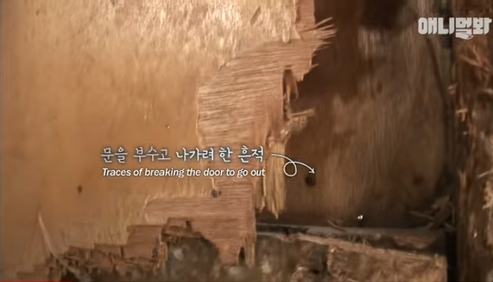 할머니-장례식장에서-눈물-흘리던-백구가-2년동안-한-일-6-이미지