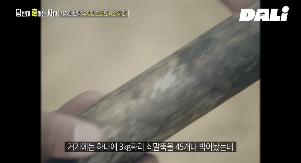 율곡이이,-이순신,-세종대왕-집안-묘소에-130kg-넘는-쇠말뚝과-식칼이-박혀-충격-5-이미지