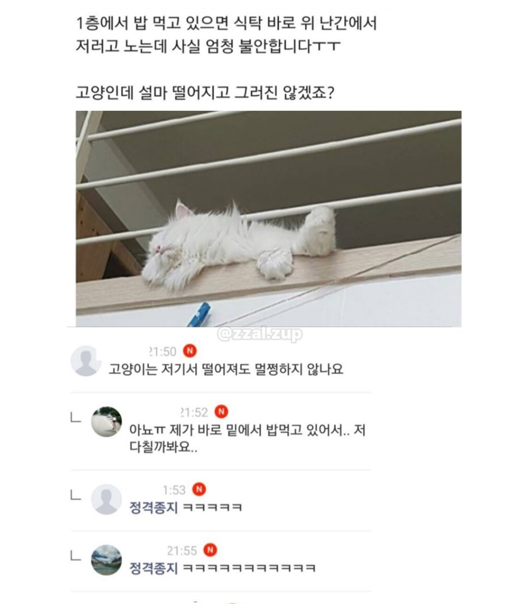 엄마랑-냉면-먹으러-가고-싶다....-8-이미지