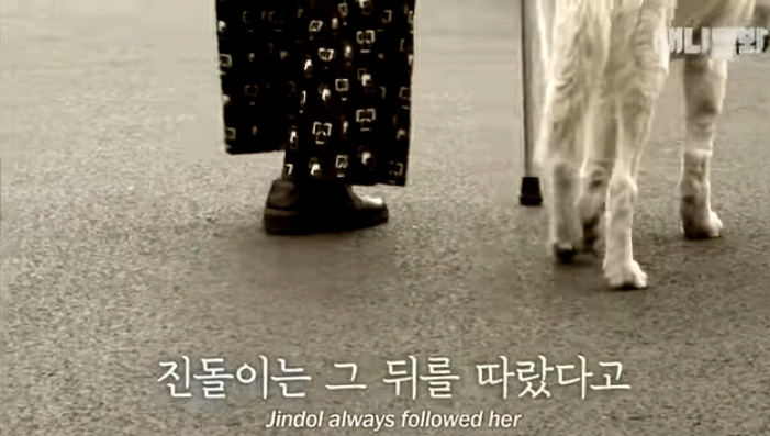 할머니-장례식장에서-눈물-흘리던-백구가-2년동안-한-일-10-이미지
