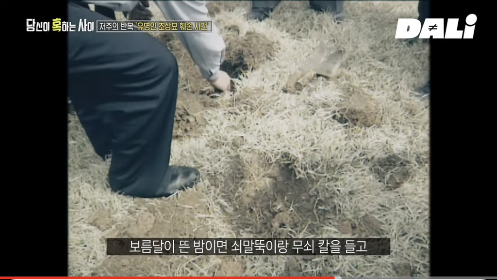 율곡이이,-이순신,-세종대왕-집안-묘소에-130kg-넘는-쇠말뚝과-식칼이-박혀-충격-0-이미지