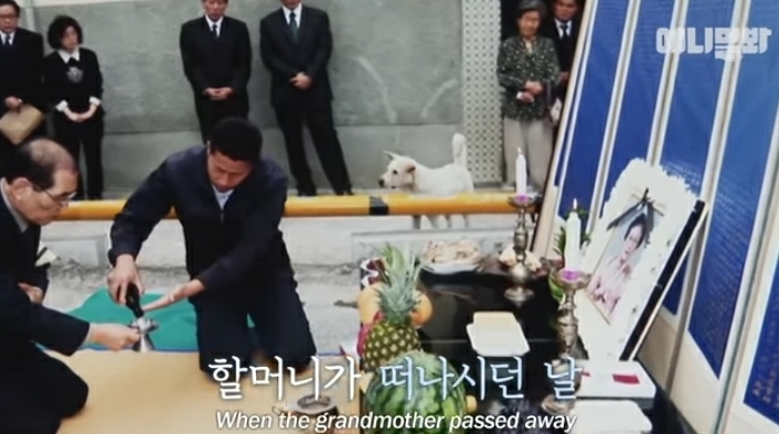 할머니-장례식장에서-눈물-흘리던-백구가-2년동안-한-일-15-이미지