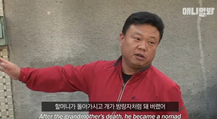 할머니-장례식장에서-눈물-흘리던-백구가-2년동안-한-일-24-이미지