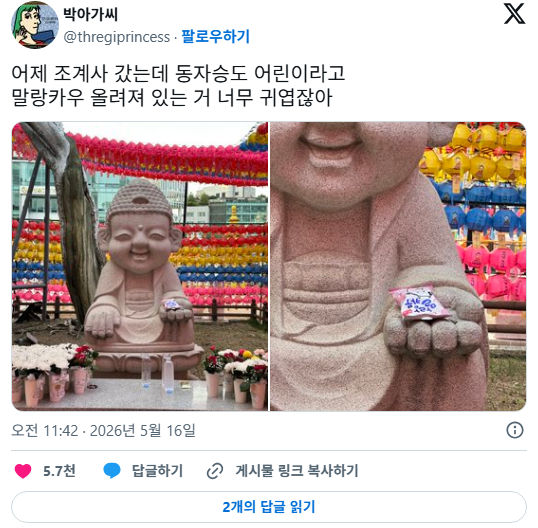 어린-존재면-다-귀여워하는-한국인-2-이미지