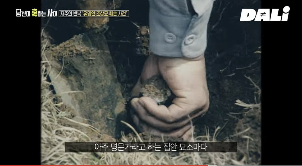 율곡이이,-이순신,-세종대왕-집안-묘소에-130kg-넘는-쇠말뚝과-식칼이-박혀-충격-3-이미지