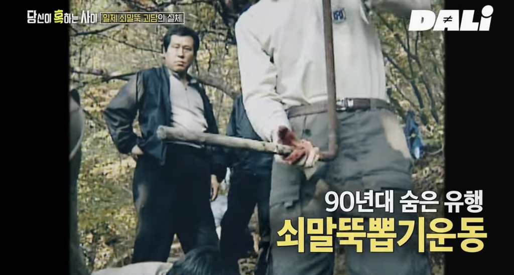 율곡이이,-이순신,-세종대왕-집안-묘소에-130kg-넘는-쇠말뚝과-식칼이-박혀-충격-16-이미지