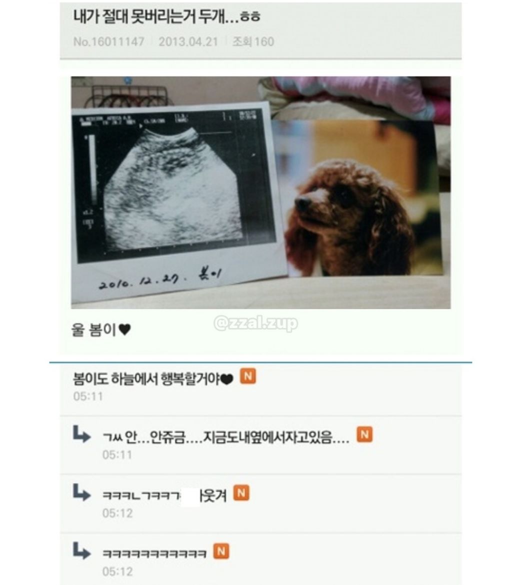 엄마랑-냉면-먹으러-가고-싶다....-5-이미지