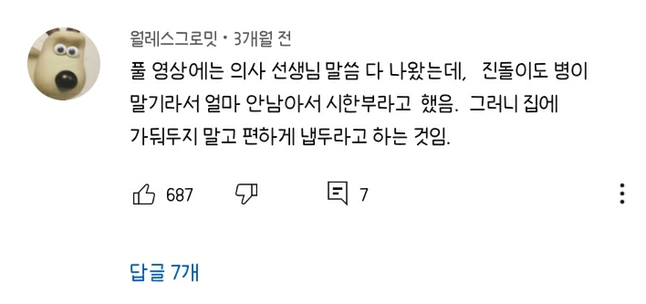 할머니-장례식장에서-눈물-흘리던-백구가-2년동안-한-일-57-이미지