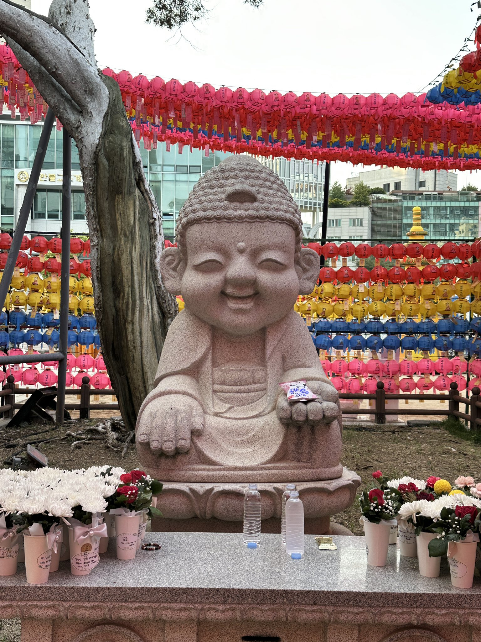어린-존재면-다-귀여워하는-한국인-0-이미지