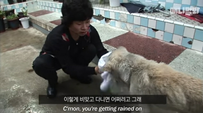 할머니-장례식장에서-눈물-흘리던-백구가-2년동안-한-일-3-이미지