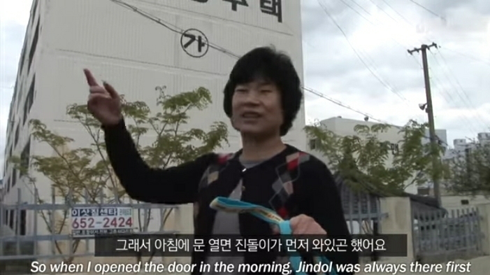 할머니-장례식장에서-눈물-흘리던-백구가-2년동안-한-일-51-이미지