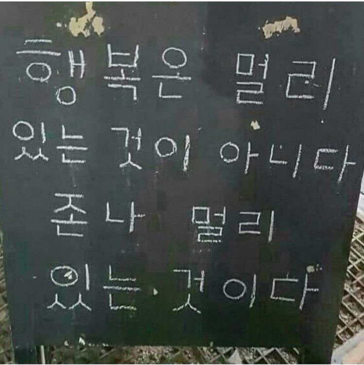 여자가-평생-함께하고-싶은-남자-2-이미지