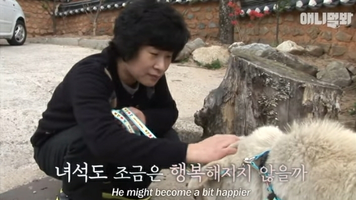 할머니-장례식장에서-눈물-흘리던-백구가-2년동안-한-일-54-이미지