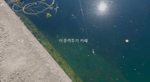 유튜브-알고리즘-휩쓴-밈으로-홍보대사-된-걸그룹-13-이미지