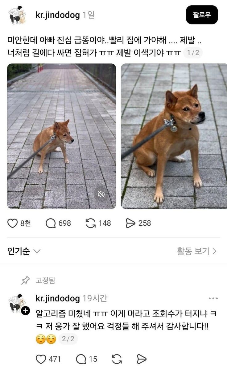 산책-중-급똥터진-견주-0-이미지
