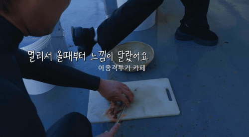 유튜브-알고리즘-휩쓴-밈으로-홍보대사-된-걸그룹-9-이미지