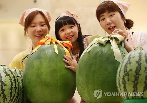 수박의-귀족.jpg-5-이미지