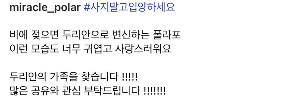 어떻게-강아지가-두리안···-16-이미지