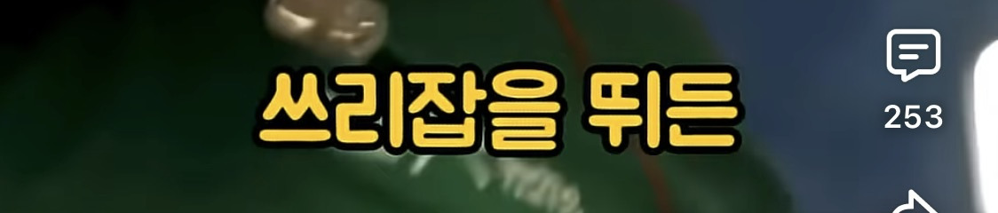 결혼관-얘기하는-덱스에게-애-안낳아봐서-모른다고-훈수두는-사람들-2-이미지