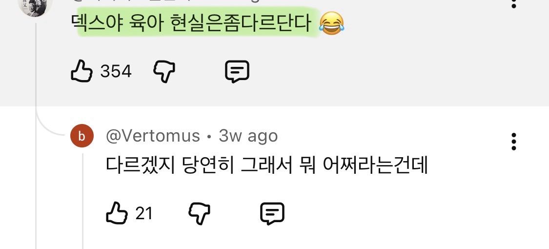 결혼관-얘기하는-덱스에게-애-안낳아봐서-모른다고-훈수두는-사람들-24-이미지