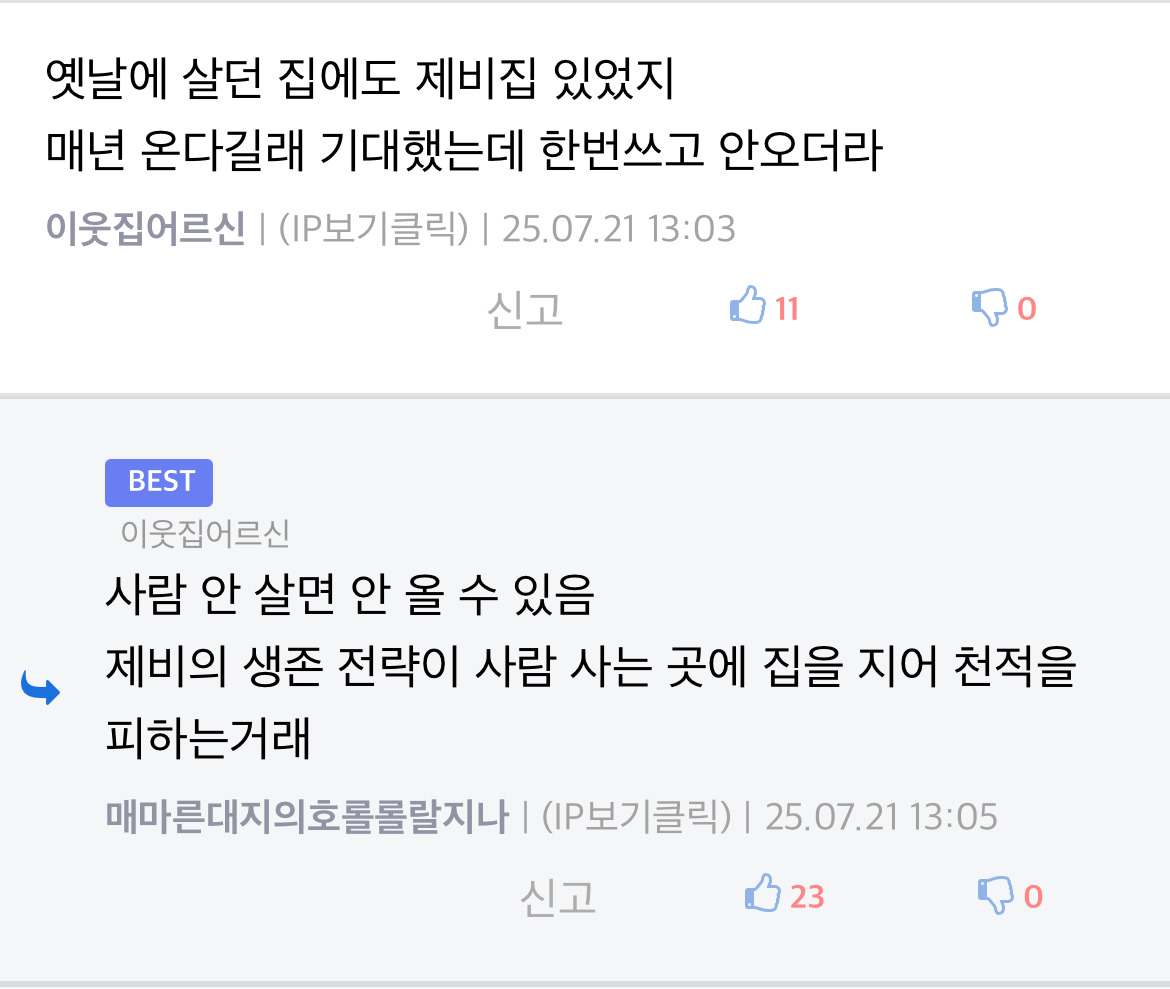 집-처마에-둥지를-틀었던-제비-가족-4-이미지