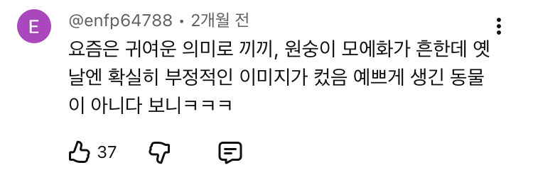 우리때-이-동물-닮았다고하면-싸우자는-의미였음.jpg-12-이미지