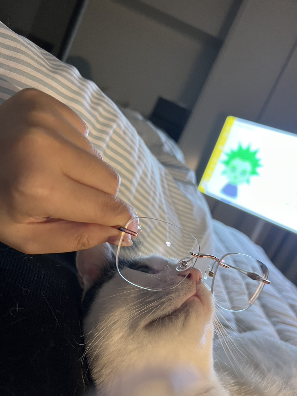 [입양홍보]-집샤-없냐-집샤👀-초개냥이-억울이의-집사-찾아요!-10-이미지