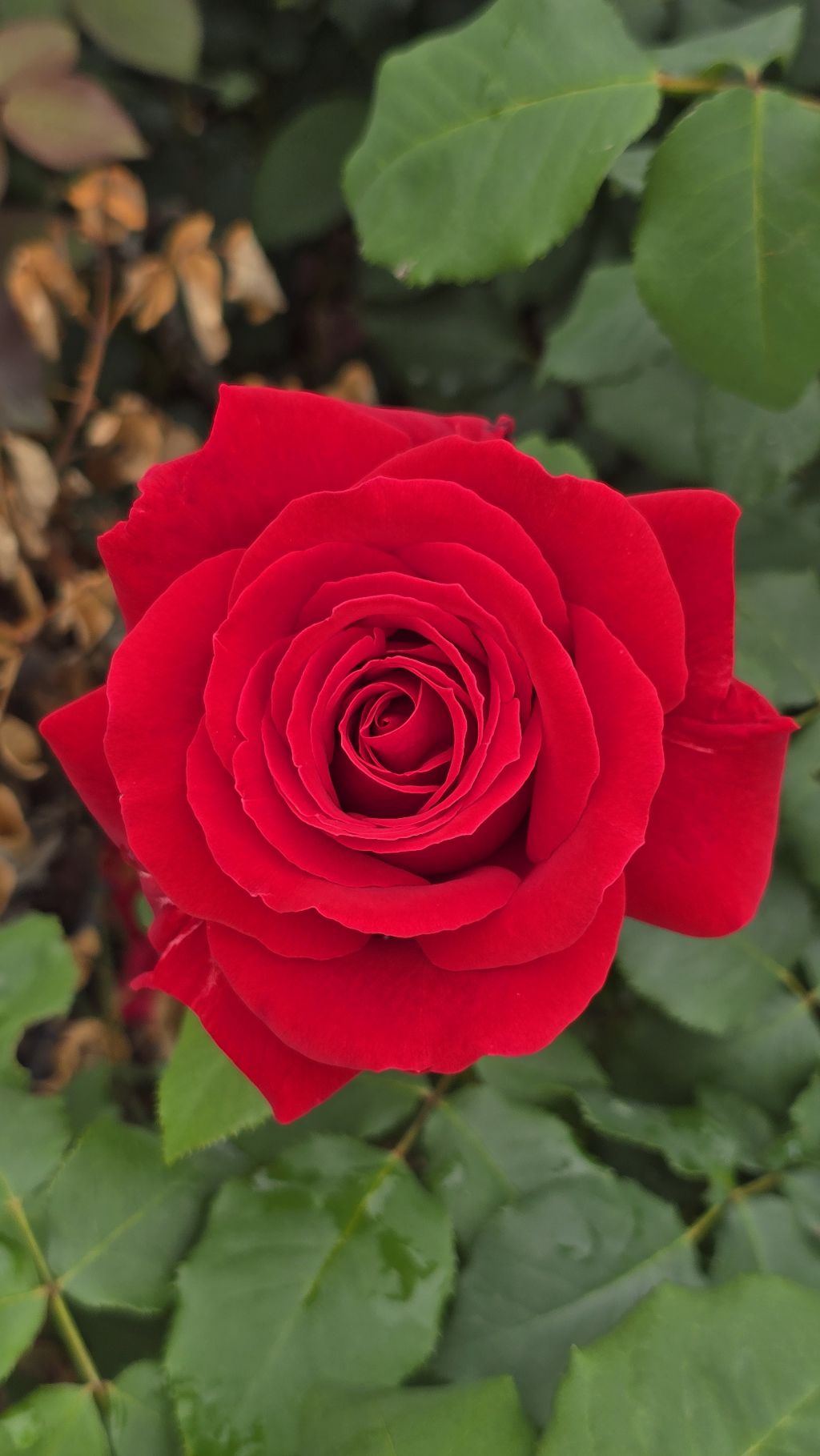 김포-호수공원-6-이미지