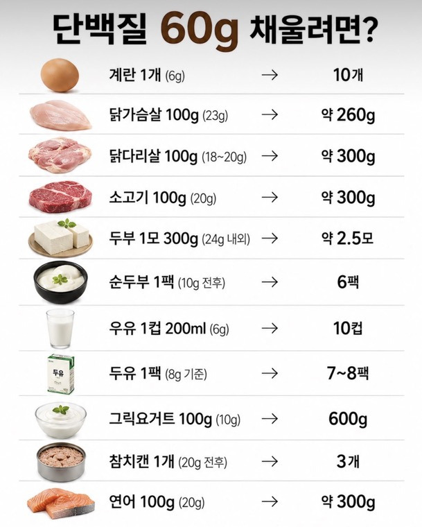 여름대비-단백질-채우기-1-이미지