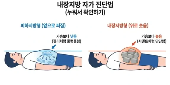 내장지방-자가진단법-1-이미지